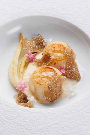 Морской гребешок с фенхелем и чёрным трюфелем